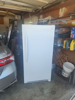 Stand up freezer tons of space