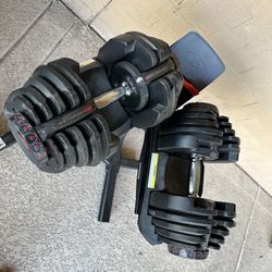 Bowflex 1090 With Stand 