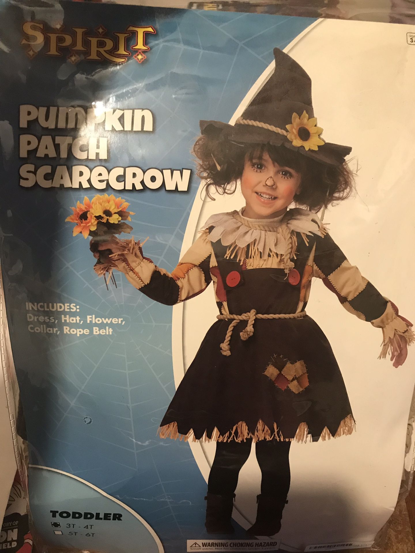 Pumpkin patch scarecrow costume