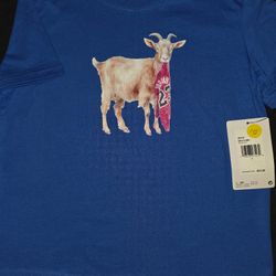 Jordan Brand Boys GOAT Tee – Sport Blue | Size 6-7 YRS (116-122 cm)