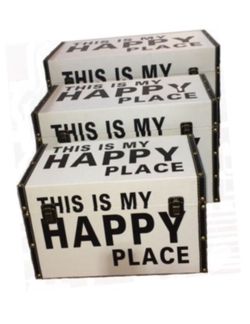 3 Piece Set Storage Trunks boxes