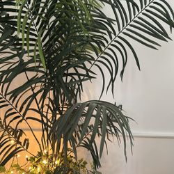 Artificial House Plant 7ft 