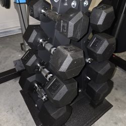 BRAND NEW Dumbbell Set & Rack (5-20 lbs) - Home Gym Essential!