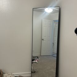 Full Body Size Mirror 
