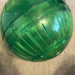 Green Hamster Ball