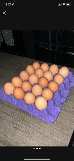 Eggs