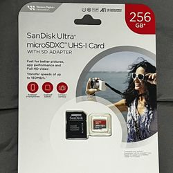 256 GB SanDisk SD Card with adaptor