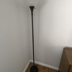 Floor Lamps x2