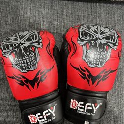 Defy Boxing Gloves 