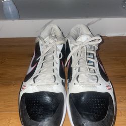 Kobe 5 Alternative Bruce Lees 