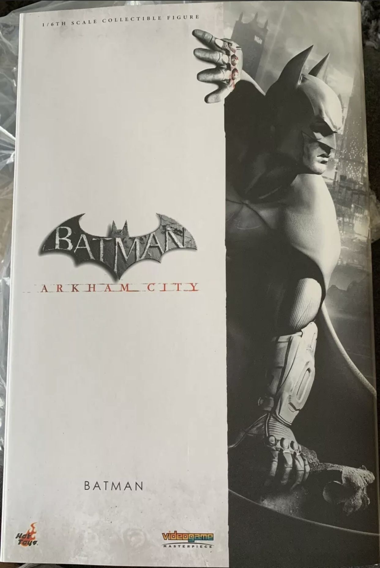 Hot Toys VGM 18 Batman Arkham City 12 inch Action Figure NEW