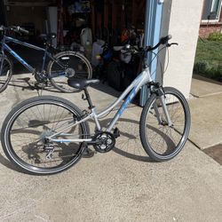 Mountain Bike Cruiser Bike