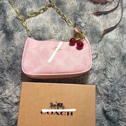 Coach Cherry Bag 