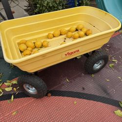 Vigoro Garden Wagon And Dump Mower Trailer Cart 