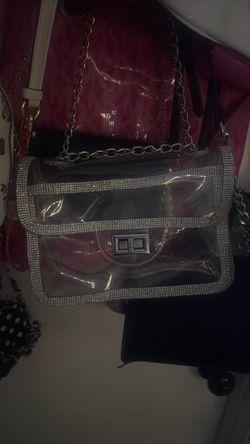 Clear Concert purse