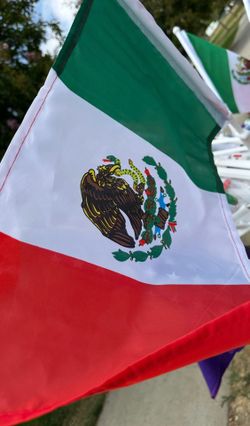 Banderas 🇲🇽💜