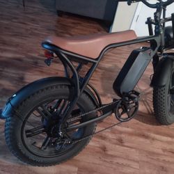 Electric Bike 