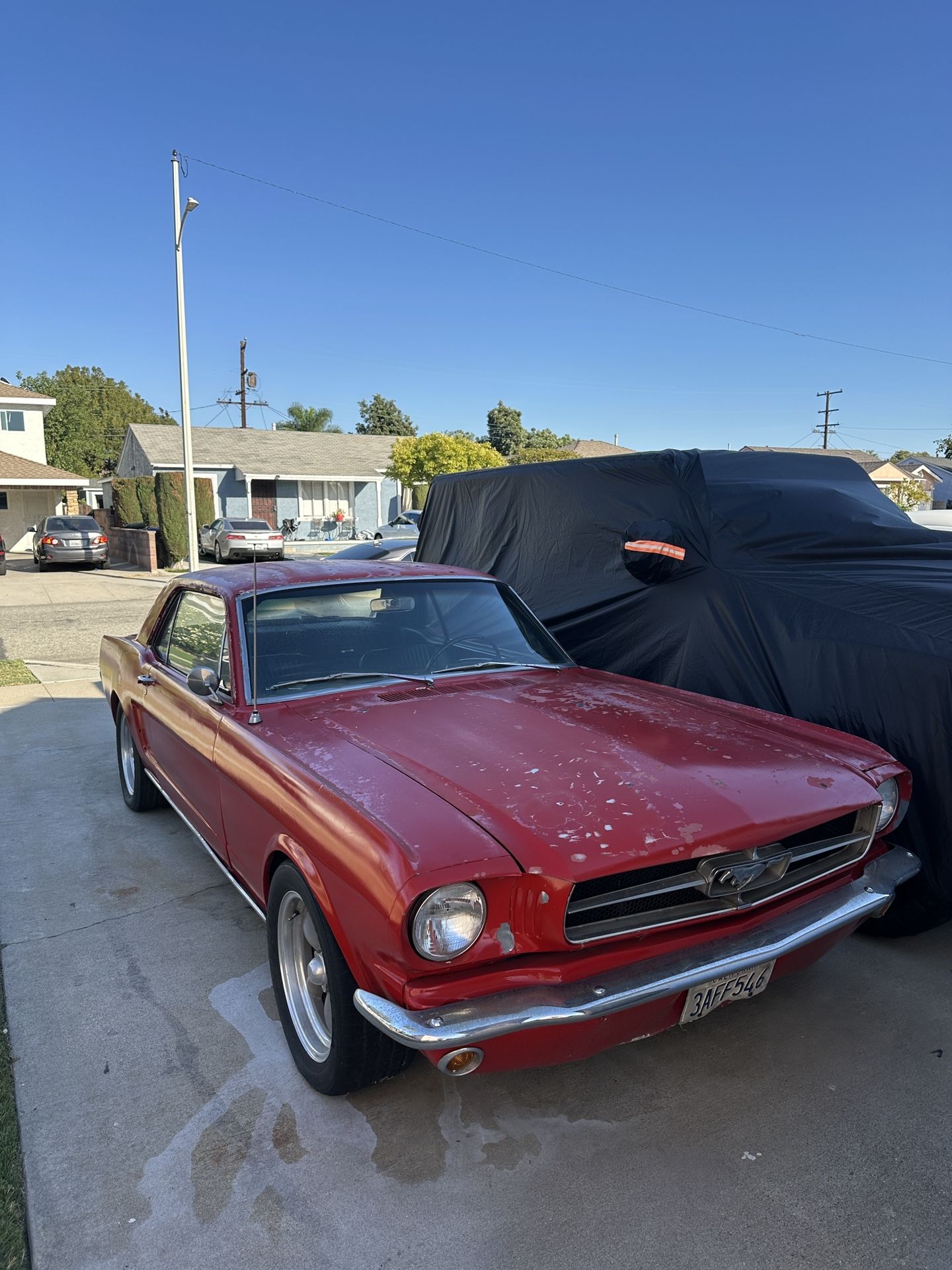 1965 Ford Mustang