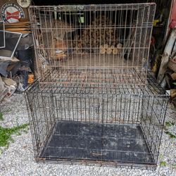 Cages