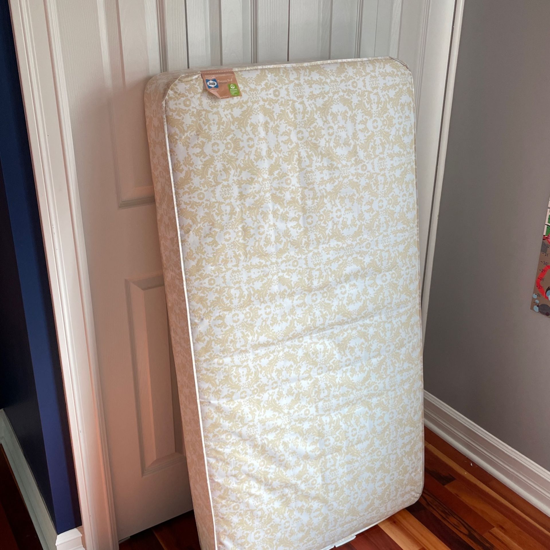 Sealy Crib and toddler Mattress