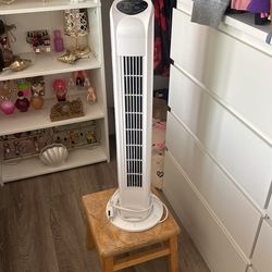 White Fan