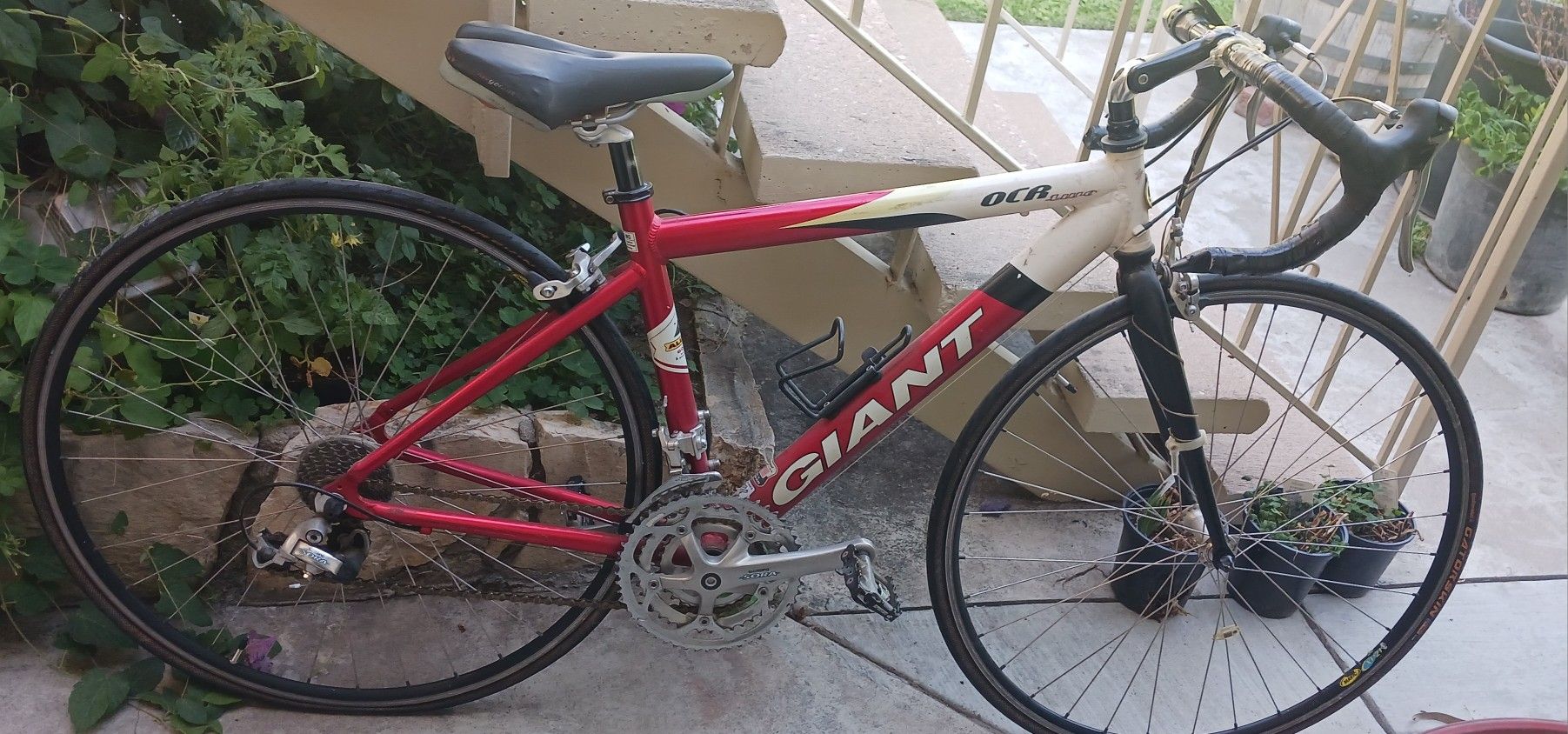 Giant Road Bike