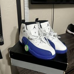 jordan 12