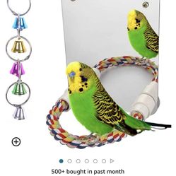Bird Mirror Toy