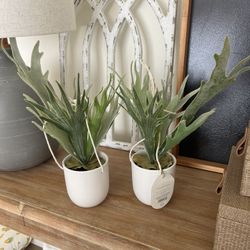 New Set Of 2 Hanging Faux Plants $10