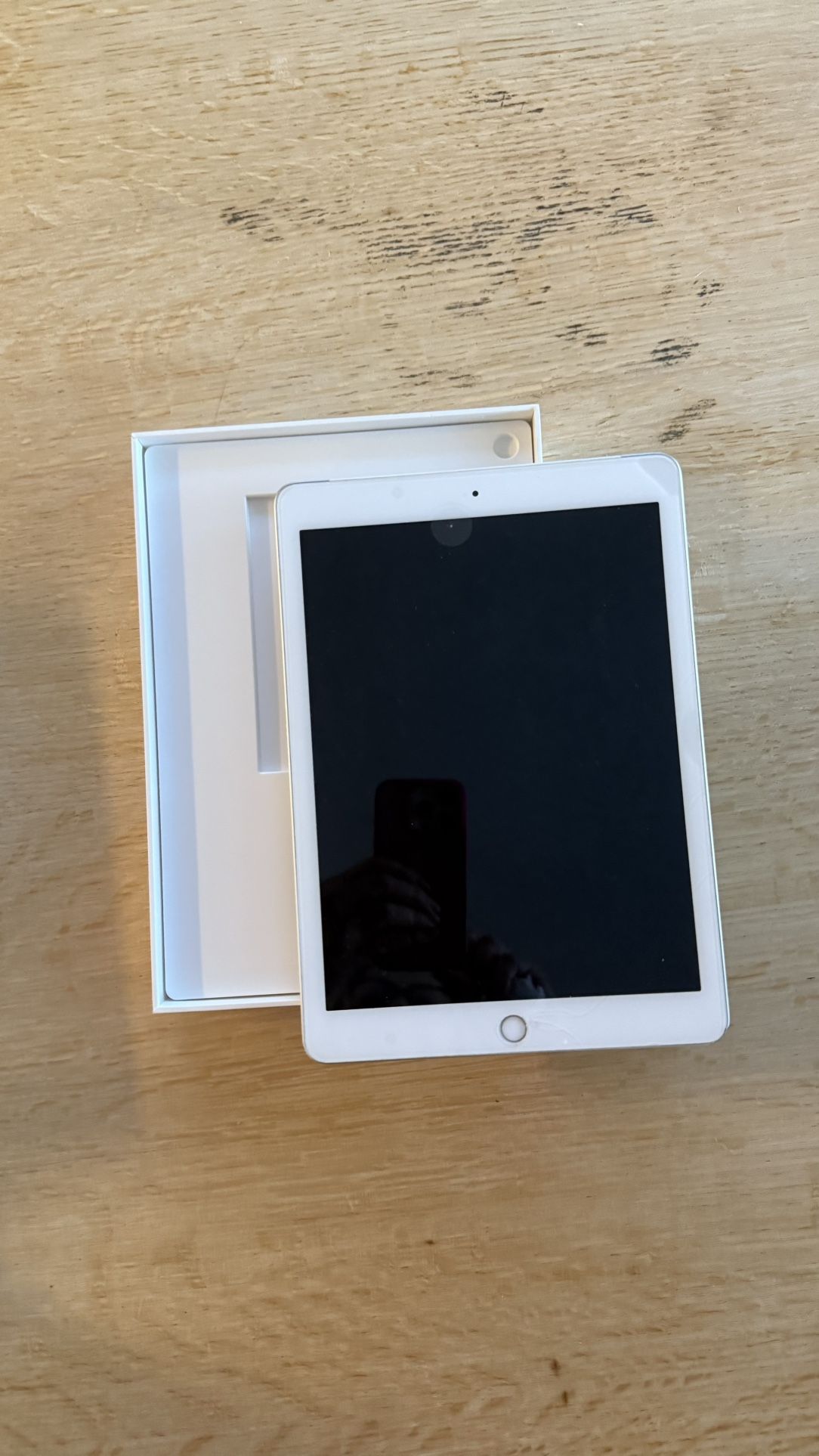iPad Pro 9.7 Inch