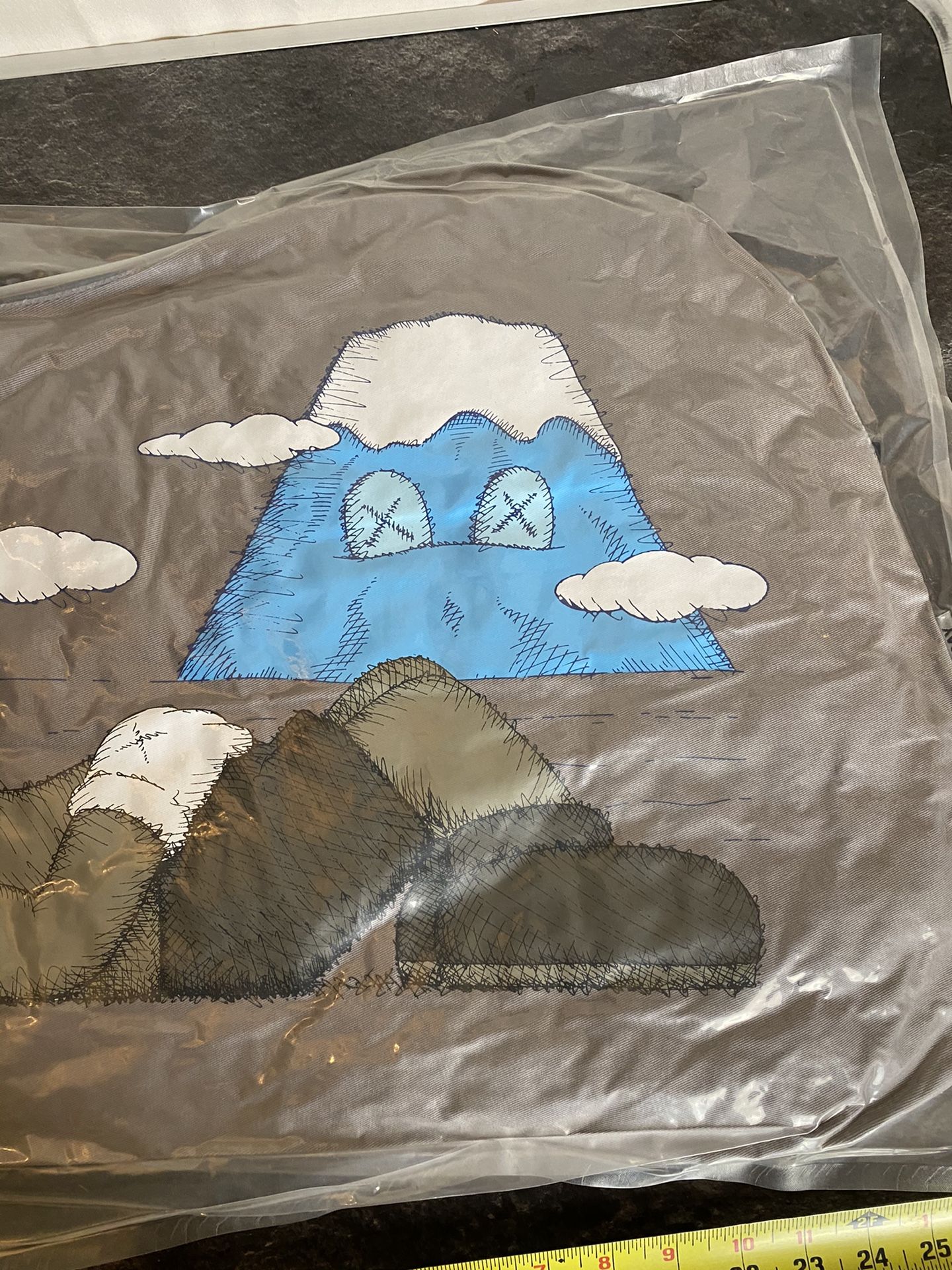 New KAWS Holiday Japan Pillow Companion Mount Fuji Cushion SEALED Collectible Dead Stock / Collectors Item 100% Authentic Sold Out