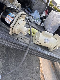Pool Pump Motor