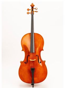 D Z Strad Cello- Model 250- Cello (case included)