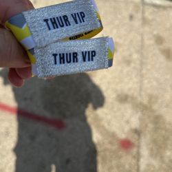 Lollapalooza Thursday VIP