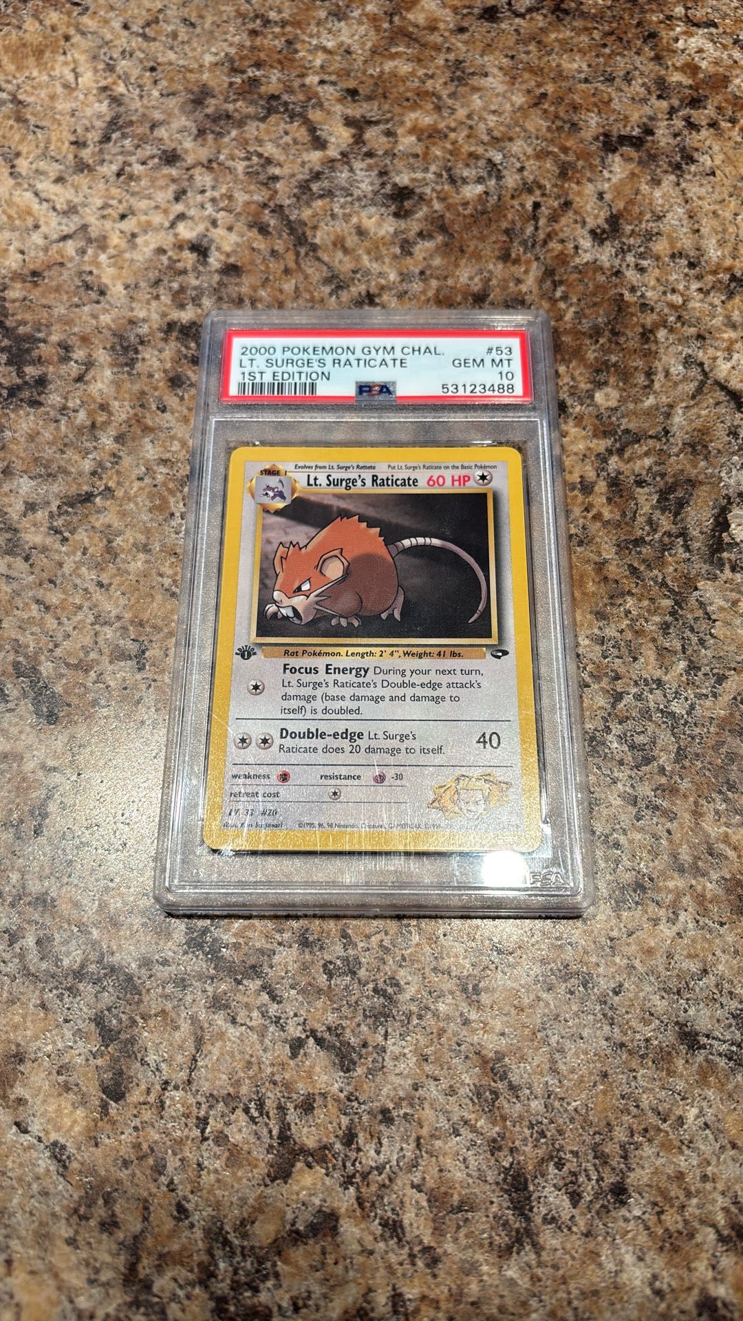 First Edition Lt Surges Raticate PSA 10 Gem Mint