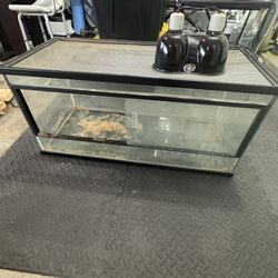 Reptile Terrarium with Accessories