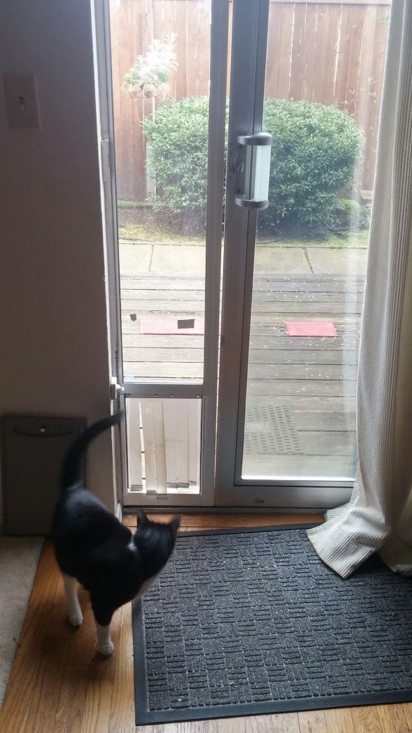 Sliding Glass Door Insert With Pet Door Dog Or Cat Pet Supplies