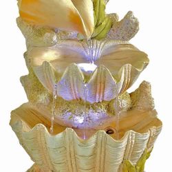 Fountain Seashell 