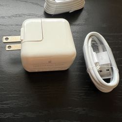 originally Apple ipad charger with two cables : lightening and USB C