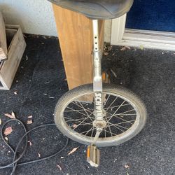 Unicycle