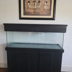 FiSH Tank With Custom Canopy, Stand, And Light