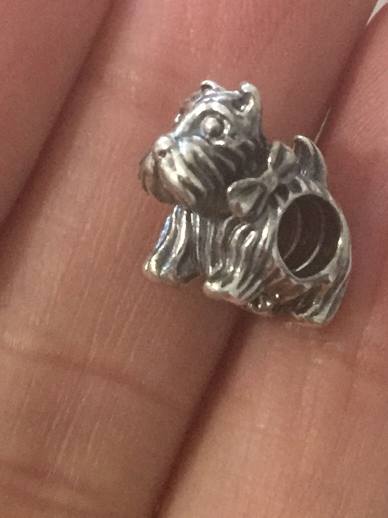 Pandora