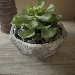Faux Succlent Plant 