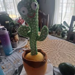 Cactus Bailarin