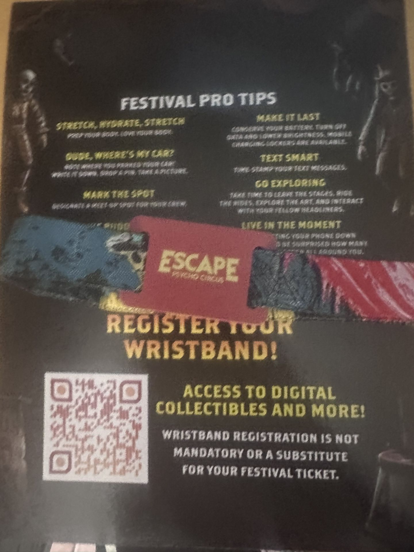 1  Escape Ticket GA 2 Day Pass