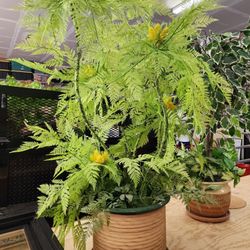 2 Decorative Faux Plants