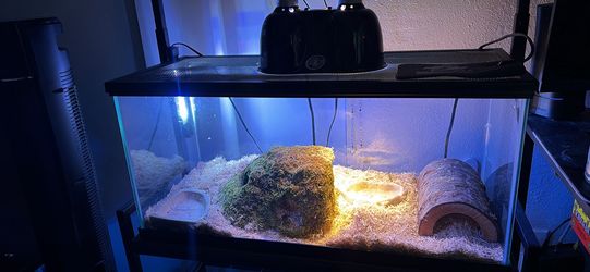Tank and accessories included!