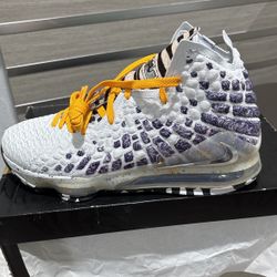 Nike LeBron Shoes