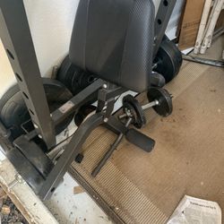 Weight Bench And Weights