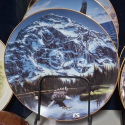 COLLECTOR'S CHINA PLATE  EAGLE